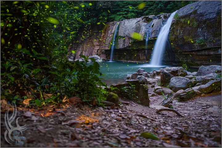 2020．PENTAX回顧