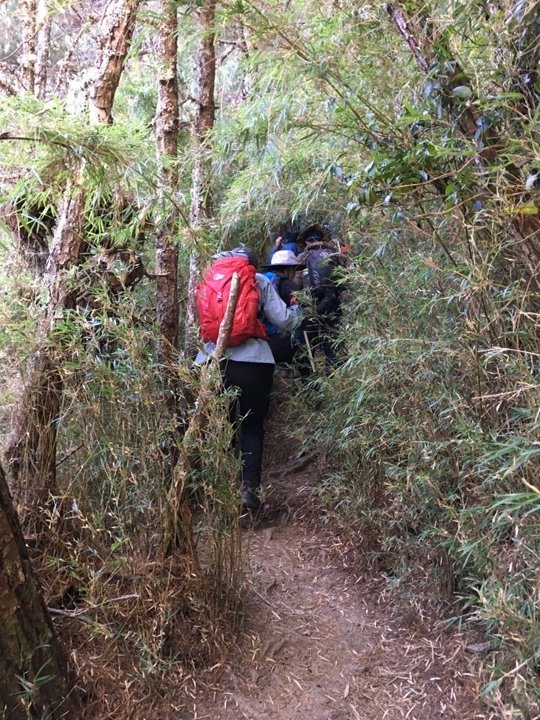 「坐車比爬山還累的百岳」-郡大山