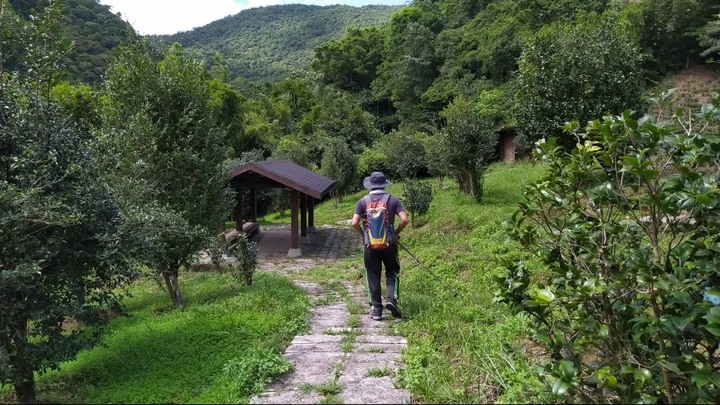 [樂山童盟] [新北坪林] 漁光國小通學古道-大舌湖步道-大舌湖越嶺古道-大舌湖山