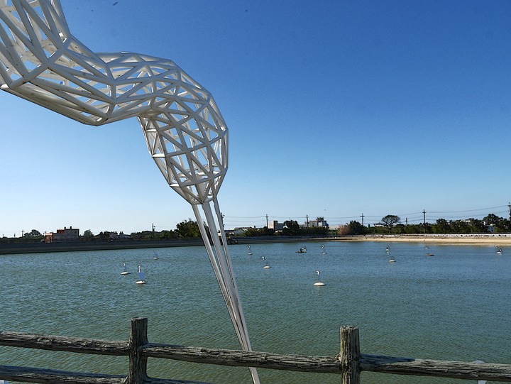 桃園 楊梅 富岡三連陂 －2018 地景藝術節之「粼粼波光、翩翩白影」，真鳥、假鳥、天上大鐵鳥歡聚一堂