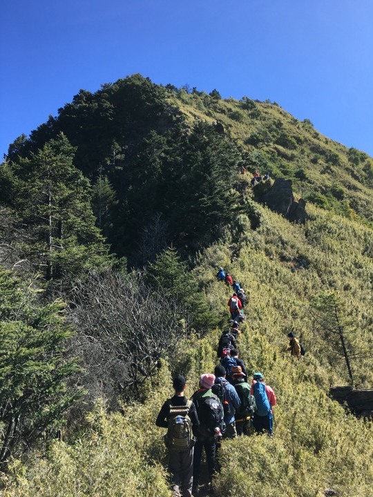 「坐車比爬山還累的百岳」-郡大山