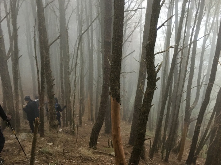 「坐車比爬山還累的百岳」-郡大山