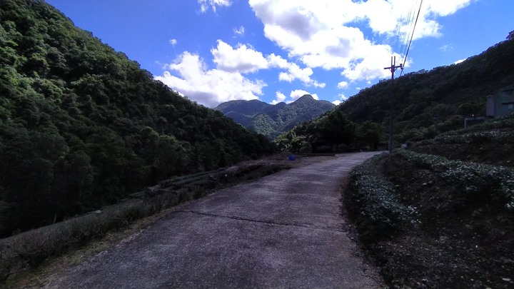 [樂山童盟] [新北坪林] 漁光國小通學古道-大舌湖步道-大舌湖越嶺古道-大舌湖山