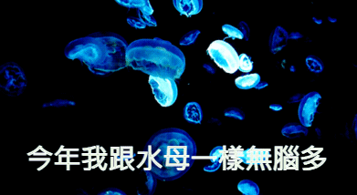 2021年萬五我開始存股萬五只是地板上看三萬點股市不可能跌了做多都發財人人都是股神