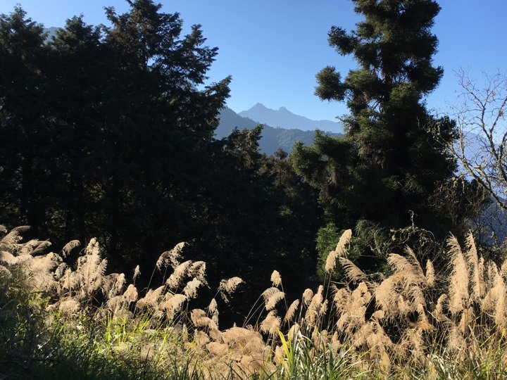 「坐車比爬山還累的百岳」-郡大山