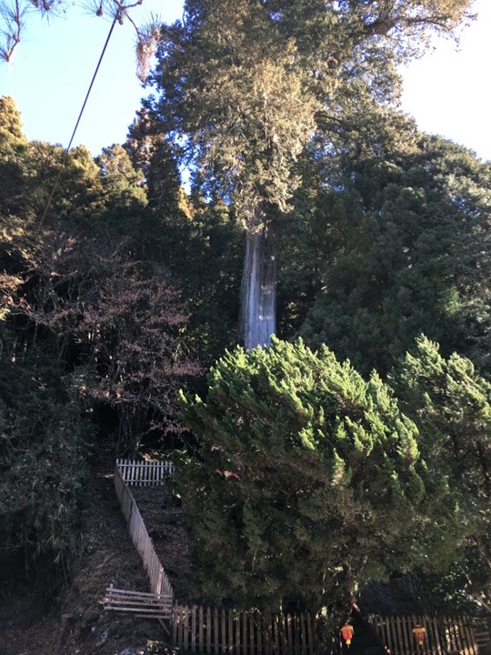 「坐車比爬山還累的百岳」-郡大山