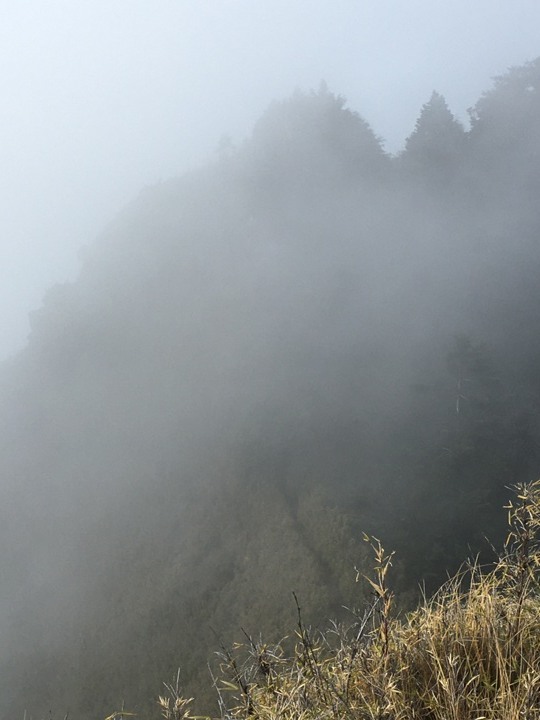 「坐車比爬山還累的百岳」-郡大山