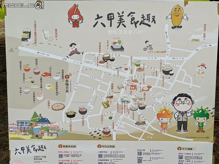 落羽松+油菜花 台南市六甲區菁埔濕地公園 01/09