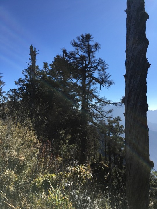「坐車比爬山還累的百岳」-郡大山