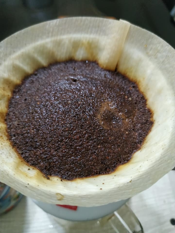 咖啡小日子-哥斯大黎加 清酒厭氧靜置處理法 樂貝多