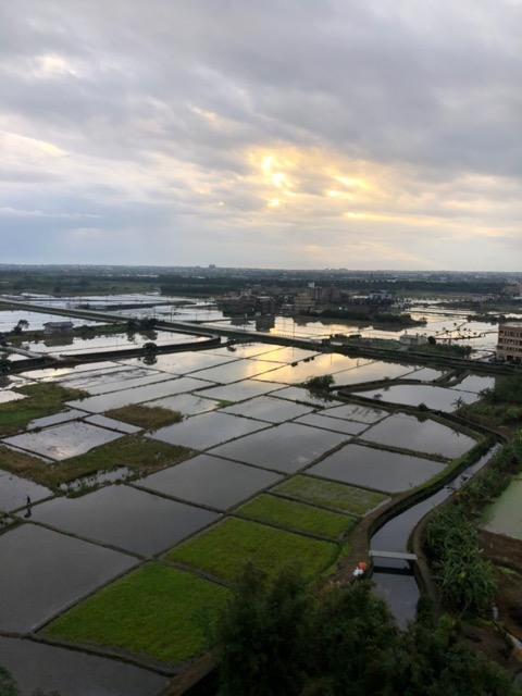 (2021) 🚴🚴 跨年單車環島趣 9天8夜 (捷安特)