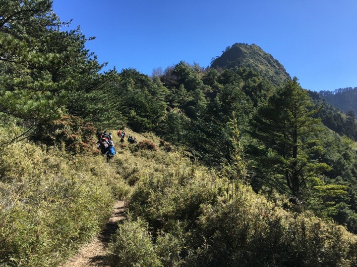 「坐車比爬山還累的百岳」-郡大山