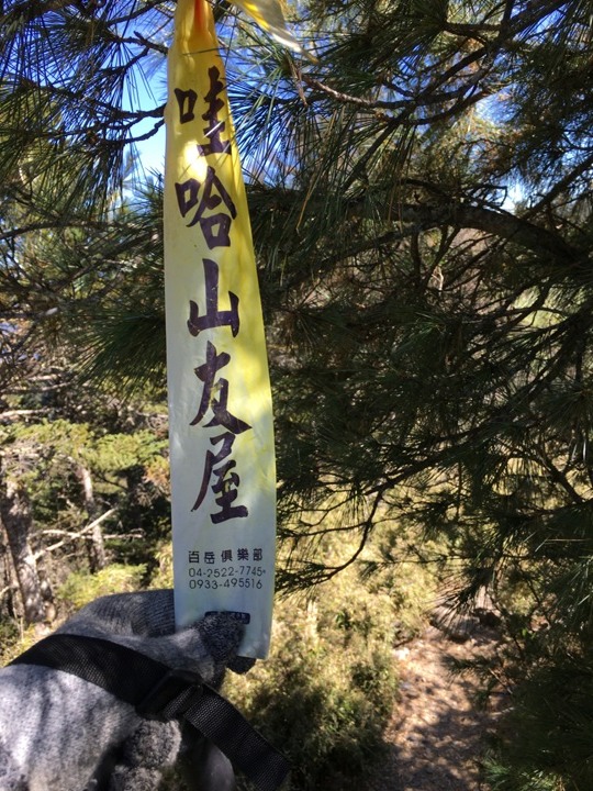 「坐車比爬山還累的百岳」-郡大山