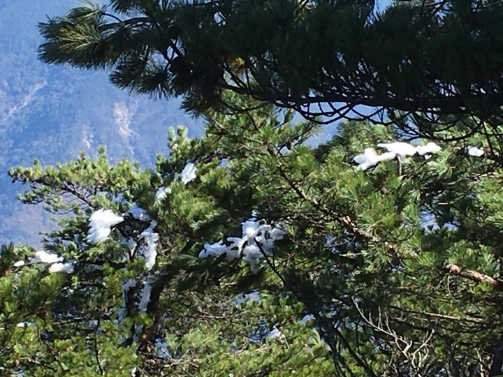 「坐車比爬山還累的百岳」-郡大山