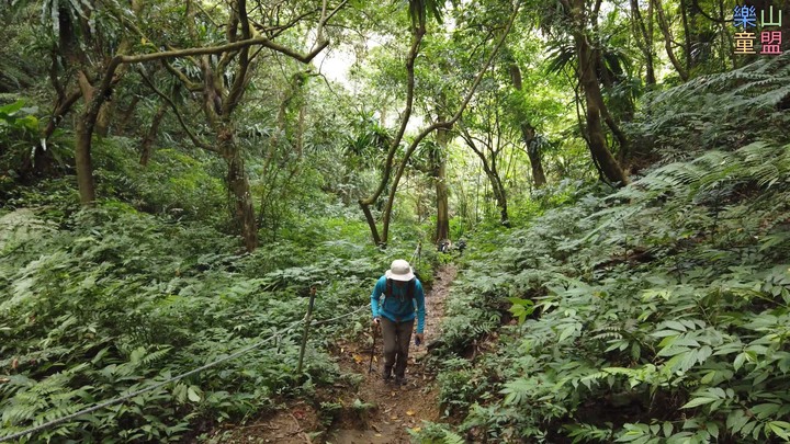 [樂山童盟] [台北文山] 二格山登山步道(南邦寮山-二格山)