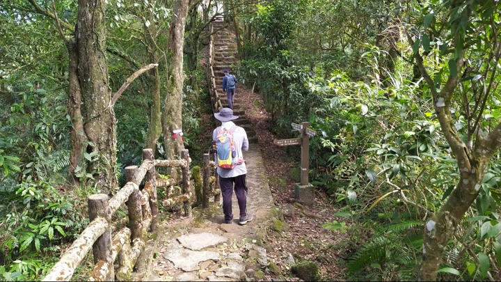 [樂山童盟] [台北文山] 二格山登山步道(南邦寮山-二格山)