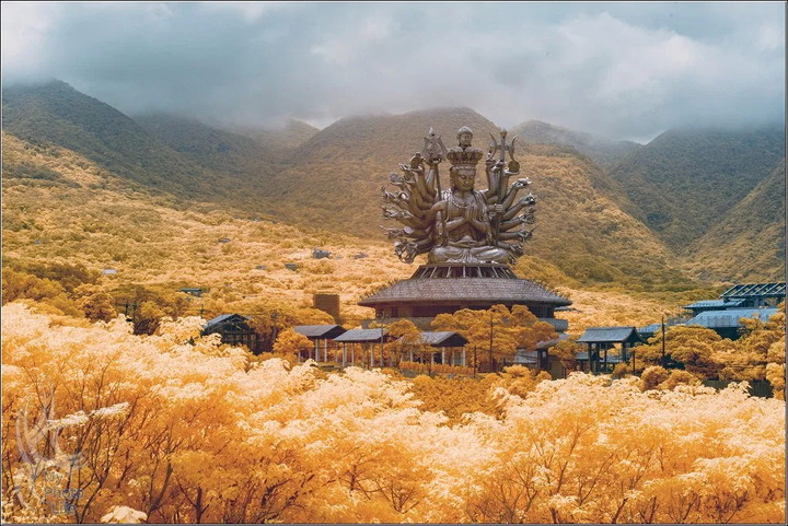 2020．PENTAX回顧