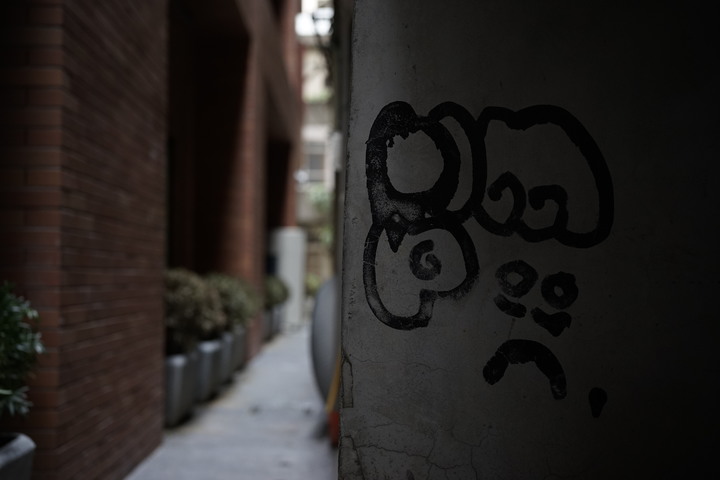 福倫達 Voigtlander 50mm F2 APO E-mount 街拍