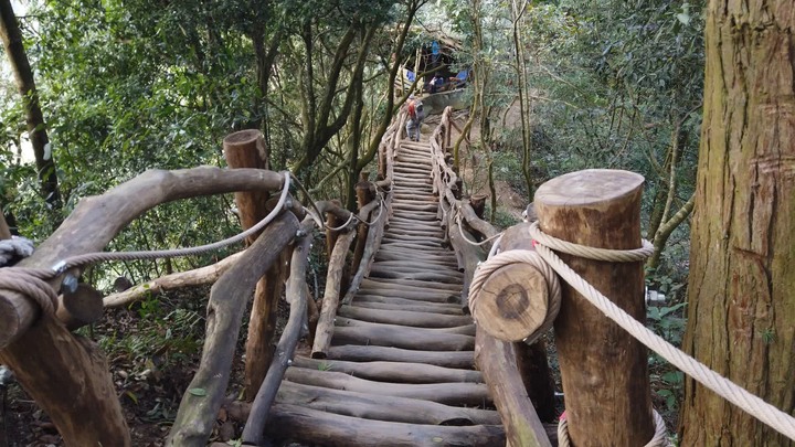 [樂山童盟] [台中北屯] 大坑登山步道(4號-頭嵙山-5號-2號)