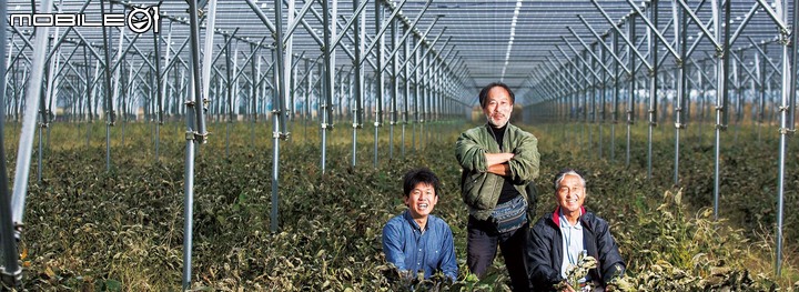 點我看大圖 台灣有沒有本錢種電?