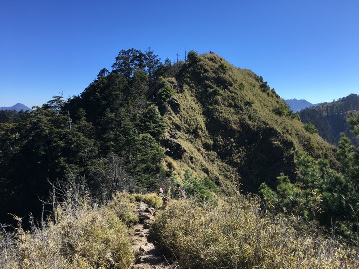 「坐車比爬山還累的百岳」-郡大山