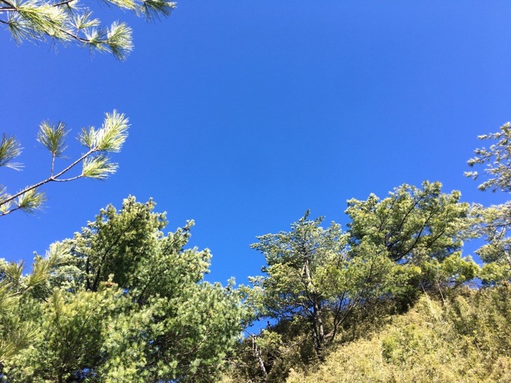 「坐車比爬山還累的百岳」-郡大山