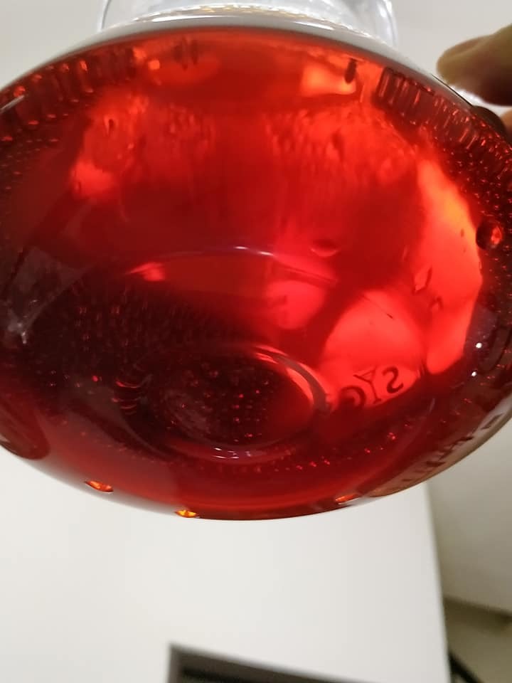 咖啡小日子-哥斯大黎加 清酒厭氧靜置處理法 樂貝多