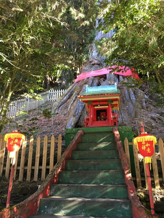 「坐車比爬山還累的百岳」-郡大山