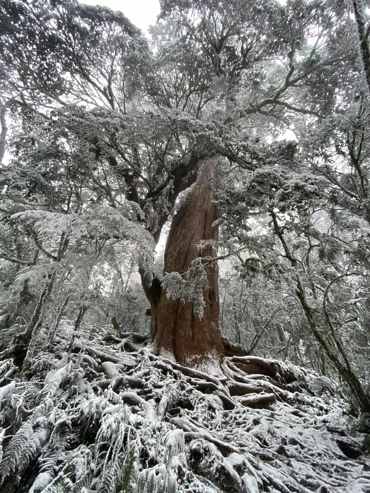 雪之加羅湖