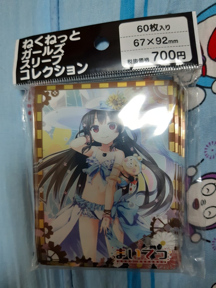愛上火車 遊戲卡收藏保護套