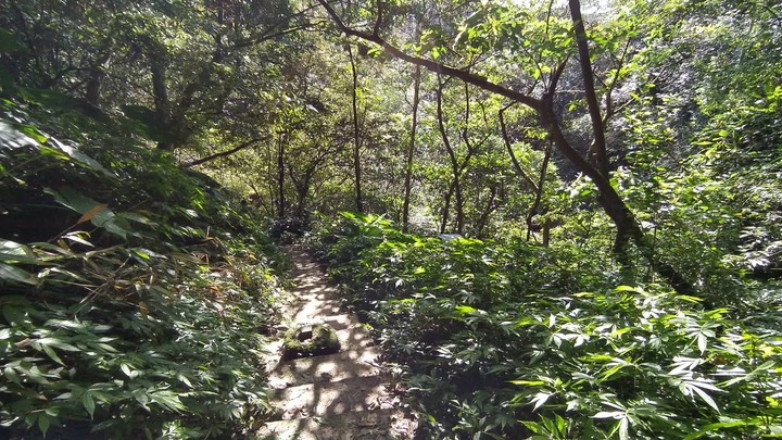 [樂山童盟] [台北文山] 二格山登山步道(南邦寮山-二格山)