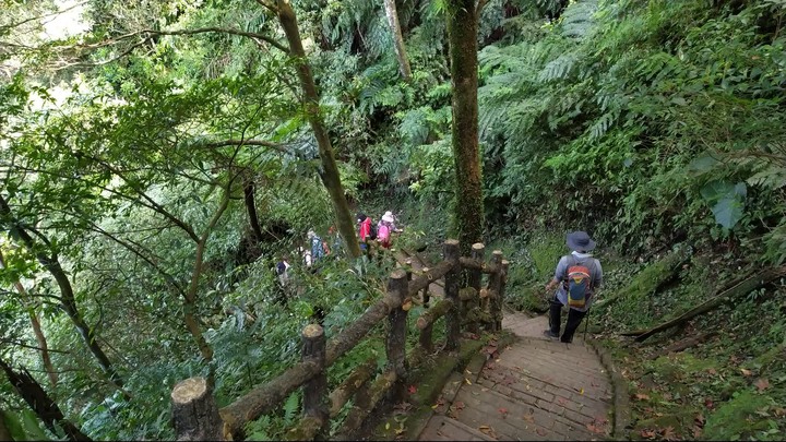 [樂山童盟] [台北文山] 二格山登山步道(南邦寮山-二格山)