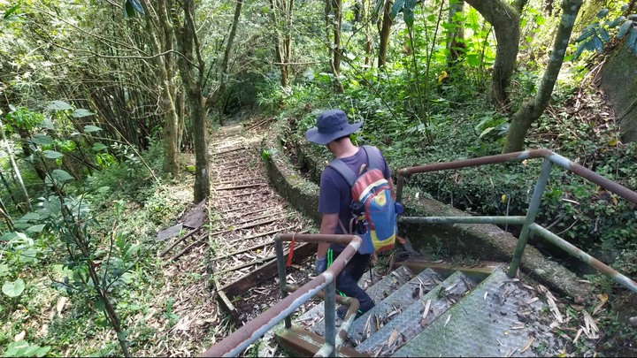 [樂山童盟] [新北坪林] 漁光國小通學古道-大舌湖步道-大舌湖越嶺古道-大舌湖山