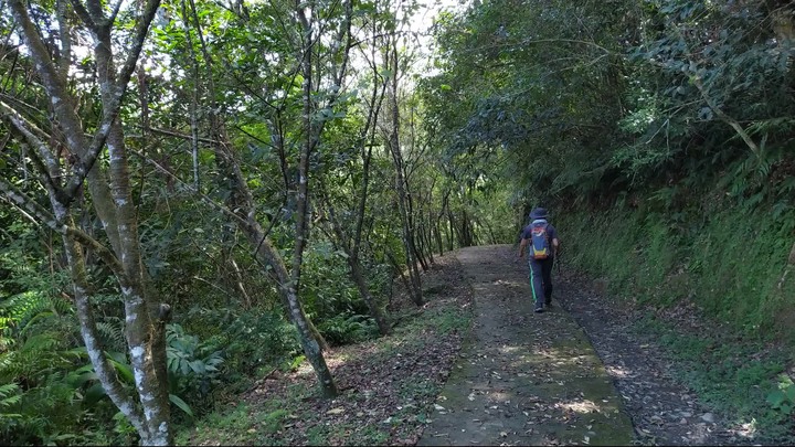 [樂山童盟] [新北坪林] 漁光國小通學古道-大舌湖步道-大舌湖越嶺古道-大舌湖山