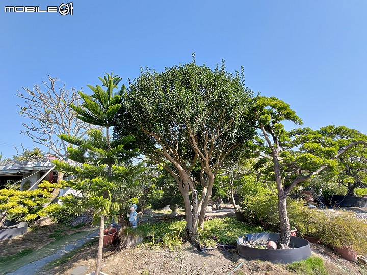 田尾 / 將園