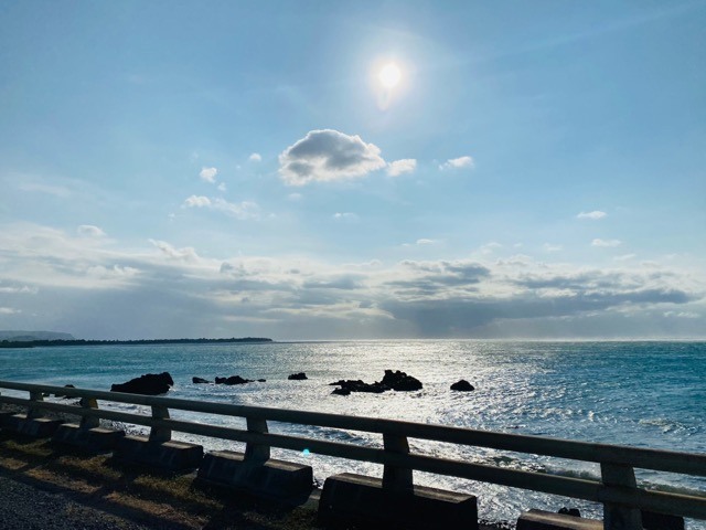 (2021) 🚴🚴 跨年單車環島趣 9天8夜 (捷安特)