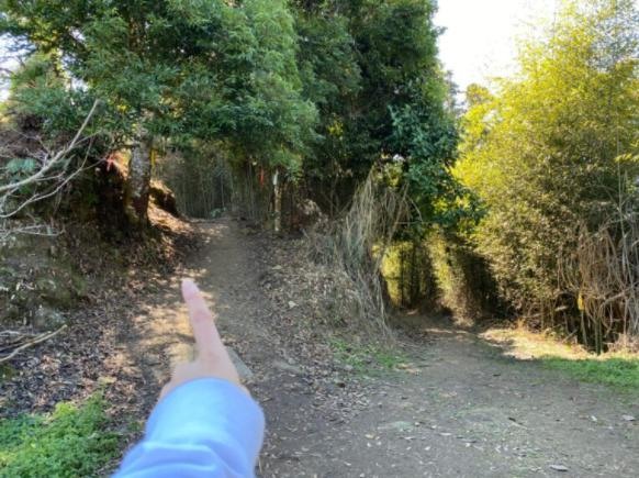 苗栗大湖|馬那邦山.賞楓推薦路線,三角點視野佳,眺望聖稜線