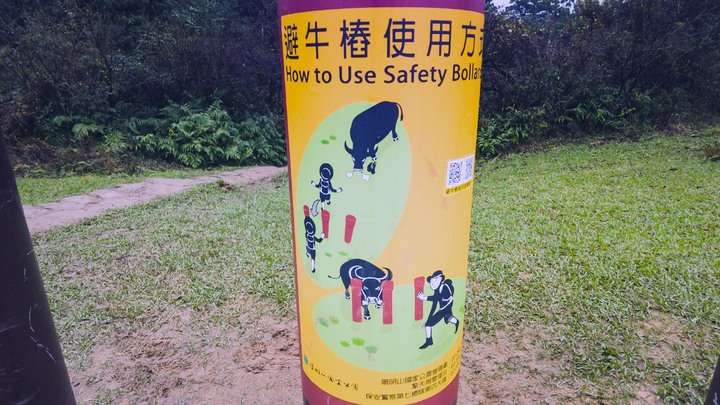 【陽明山東縱走】聖人橋上風櫃嘴、頂山、石梯嶺、擎天崗