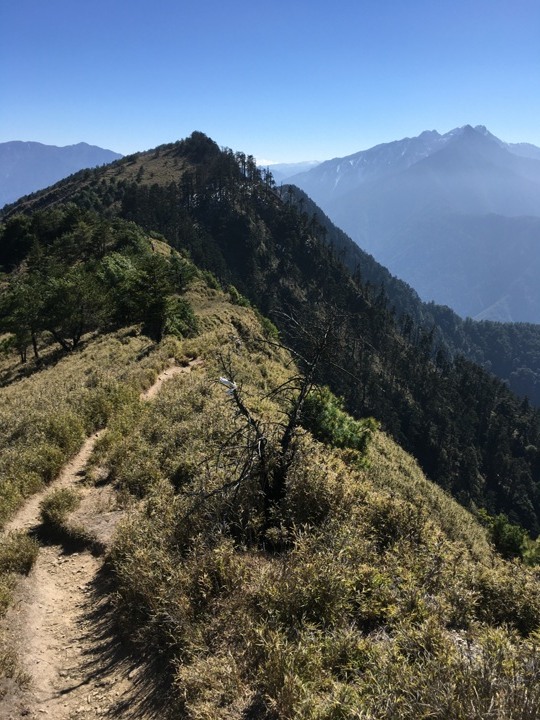 「坐車比爬山還累的百岳」-郡大山