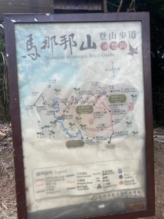 苗栗大湖|馬那邦山.賞楓推薦路線,三角點視野佳,眺望聖稜線