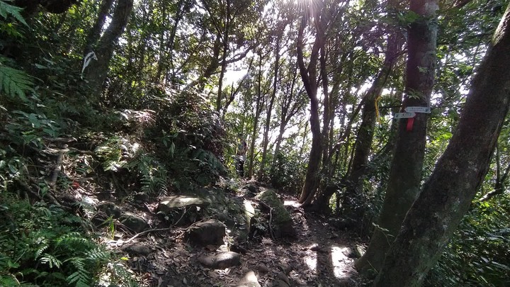 [樂山童盟] [台北文山] 二格山登山步道(南邦寮山-二格山)