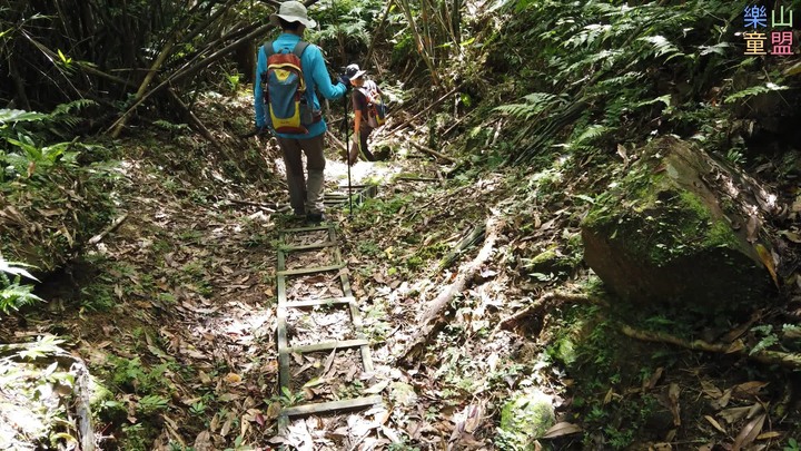 [樂山童盟] [新北坪林] 漁光國小通學古道-大舌湖步道-大舌湖越嶺古道-大舌湖山