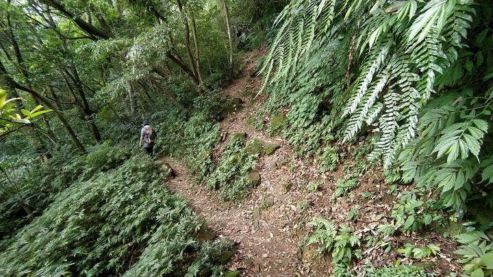 [樂山童盟] [台北文山] 二格山登山步道(南邦寮山-二格山)