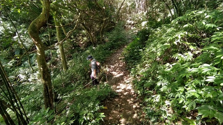 [樂山童盟] [台北文山] 二格山登山步道(南邦寮山-二格山)