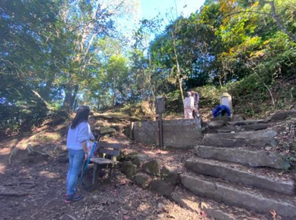 苗栗大湖|馬那邦山.賞楓推薦路線,三角點視野佳,眺望聖稜線