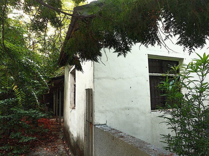 南投 集集 樟腦出張所建築群 — 全臺僅存的樟腦出張所建築群，期待重生再造歷史現場 — 南投縣文化局「三五成群南投踏點趣」活動館舍之五之外掛