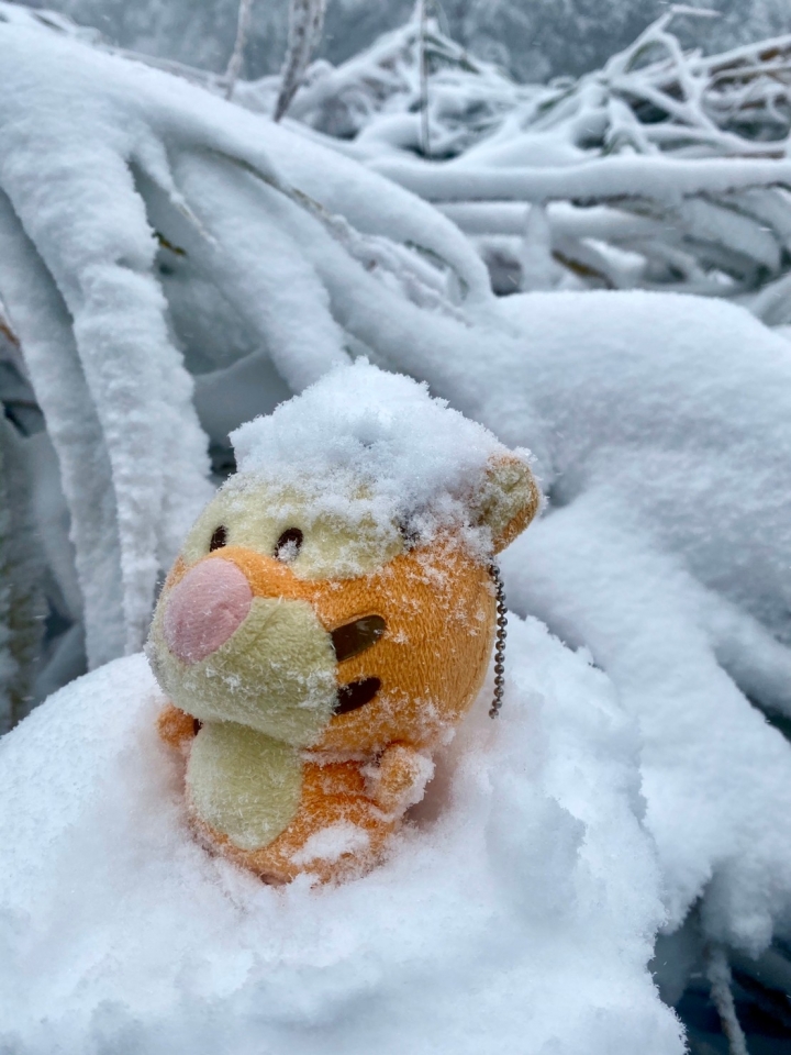 美麗 沒有極限 太平山