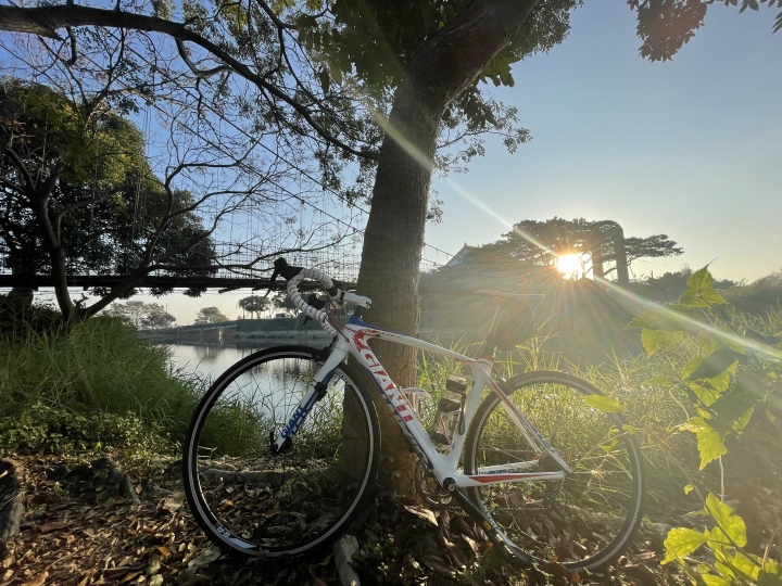 TCR COMP BIKEDAY 100 老車開箱