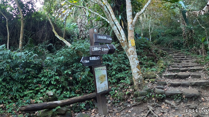 賞楓聖地・馬那邦山Y字連走細道邦山