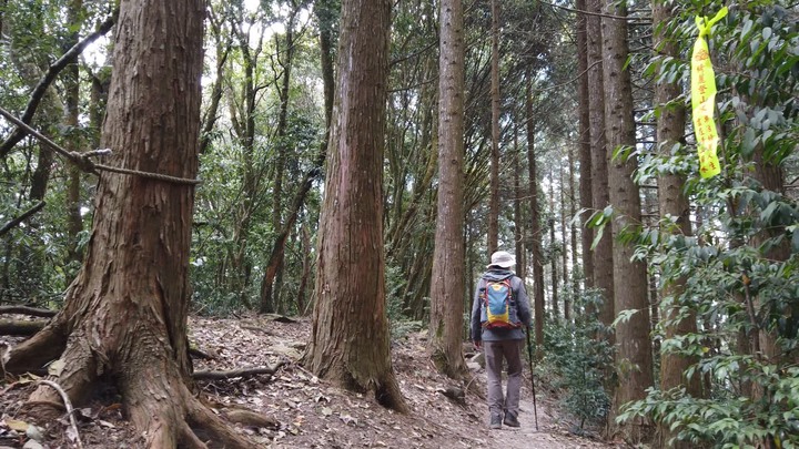 [樂山童盟] [台中和平] 谷關七雄-屋我尾山(大雪山林道登山口31.2K)